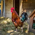 Séjour à la ferme Unterlehengut *